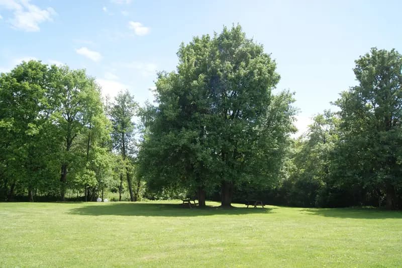 La Ferme de Vimory — photo 2