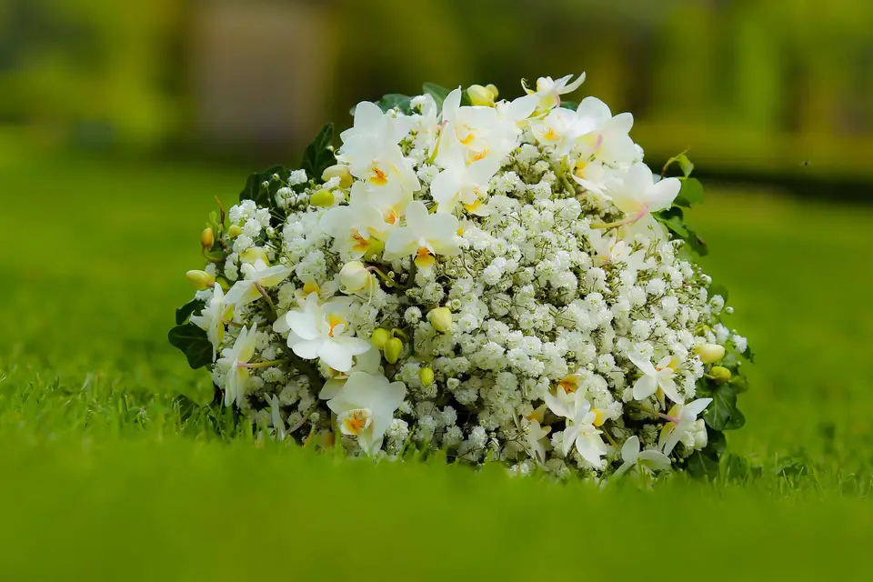 Samuel H. — photo 6