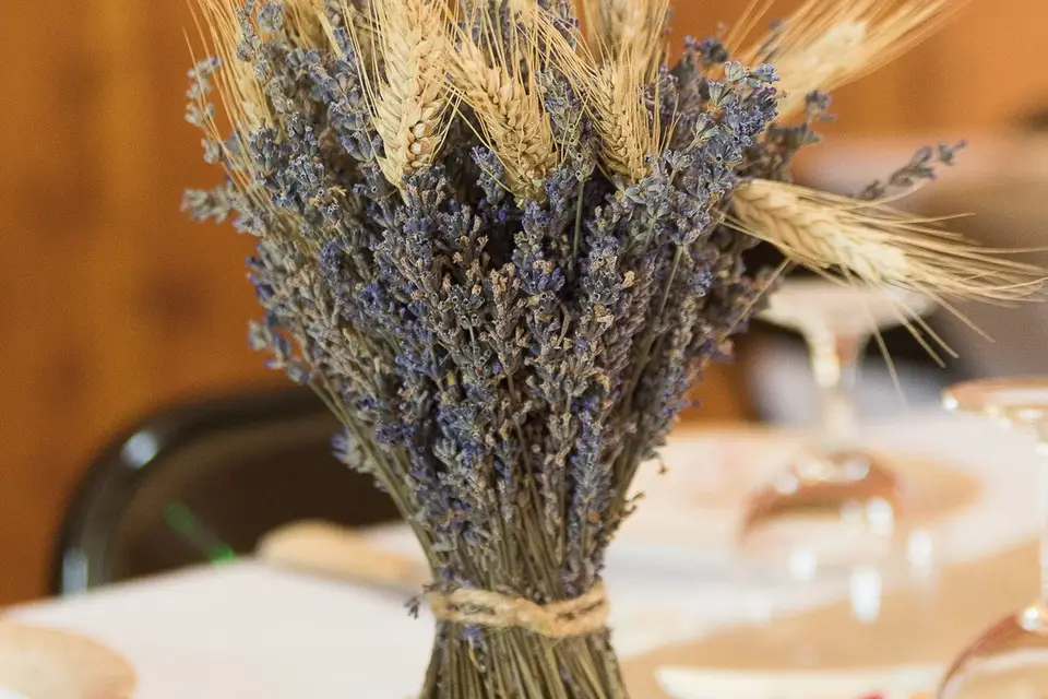 Le Studio Embrun — photo 3