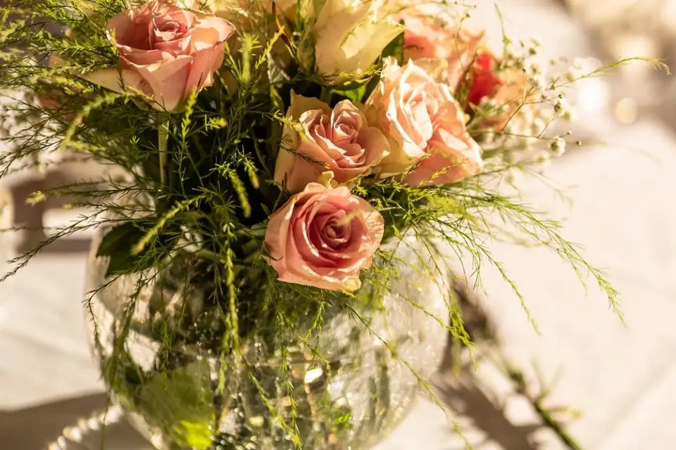 Le Ponton — photo 8