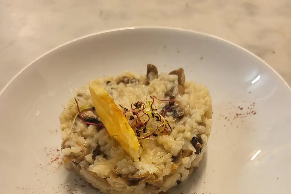 La Belle Aventure — photo 8