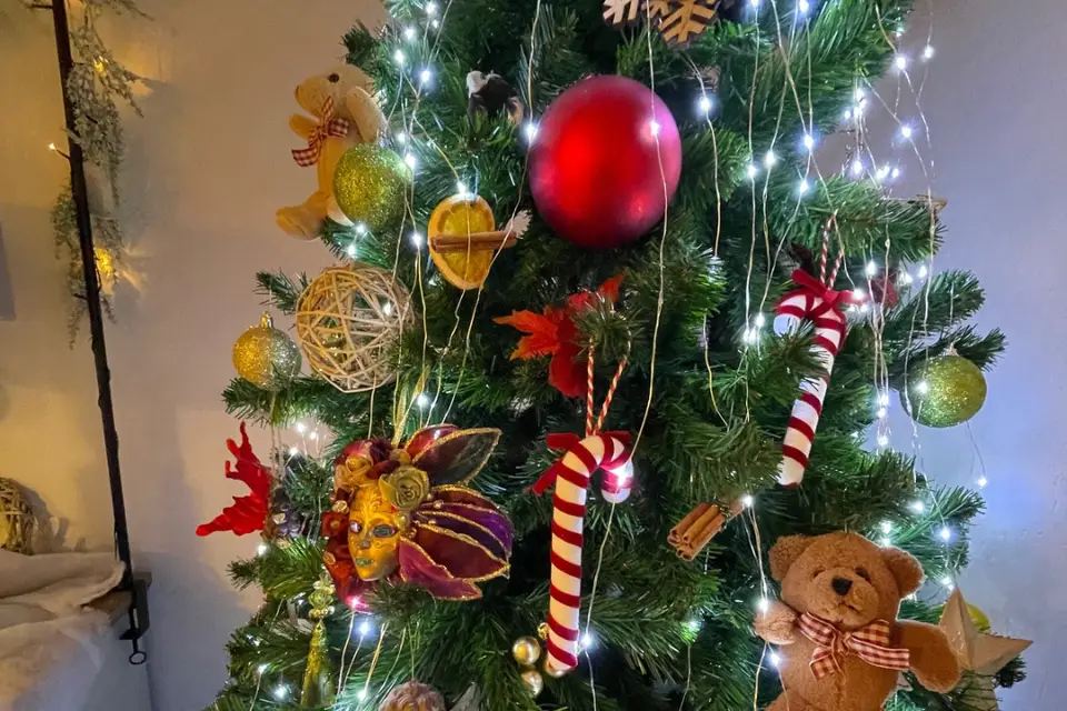 La Belle Aventure — photo 6