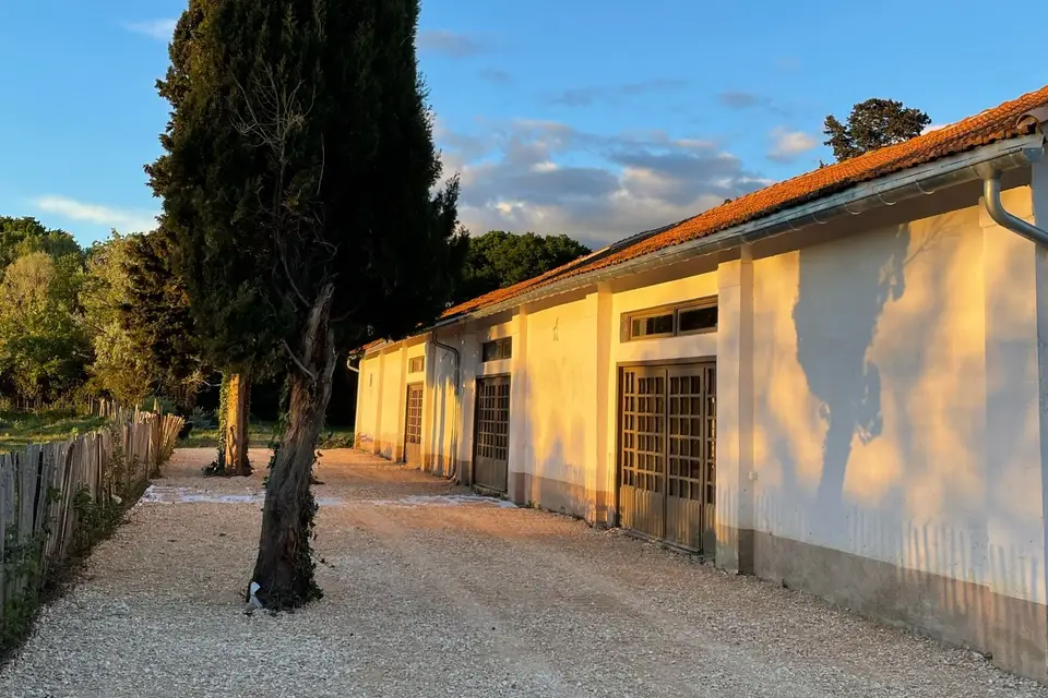 Mas de la Motte — photo 5