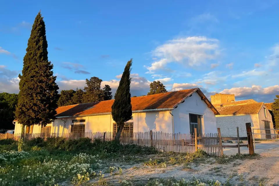 Mas de la Motte — photo 6