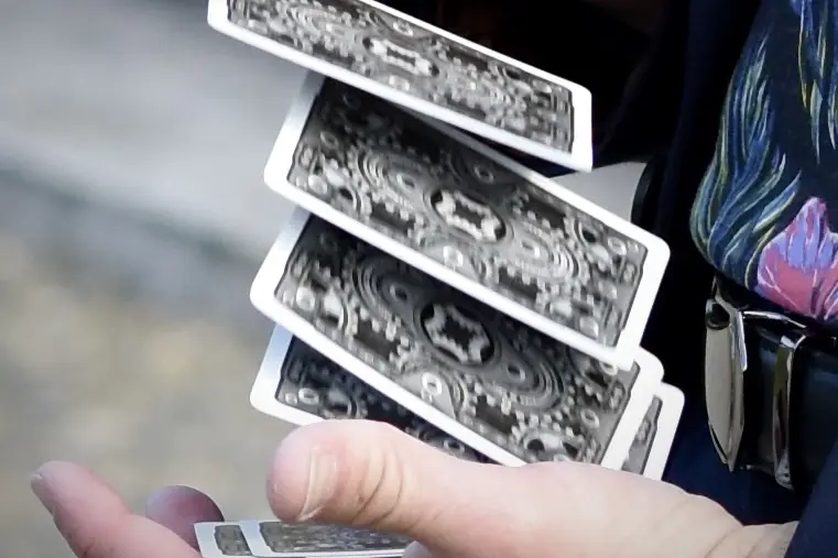 Laurent Villiger — photo 7