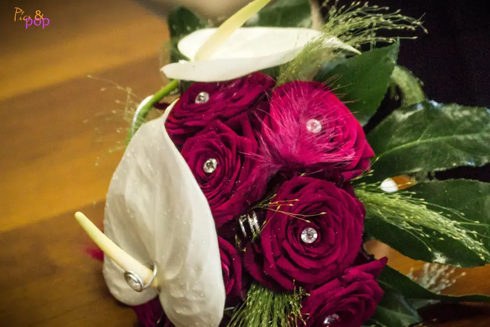 Aurélie Lodier — photo 2