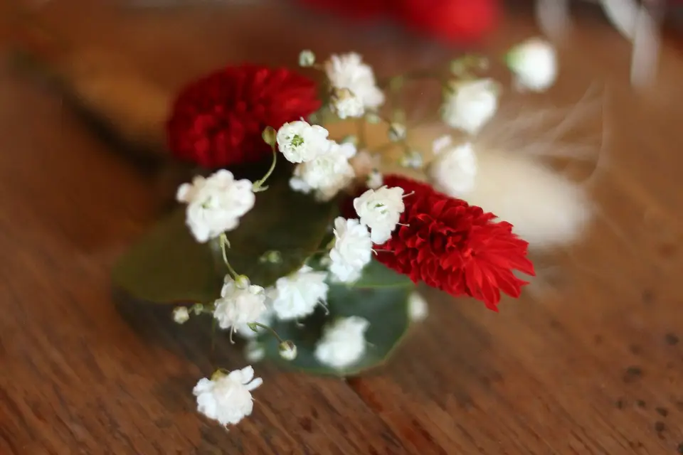 Léna Ross Photographie — photo 5