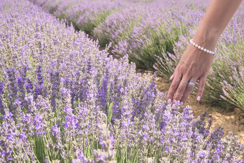 John Vigny Creations — photo 2