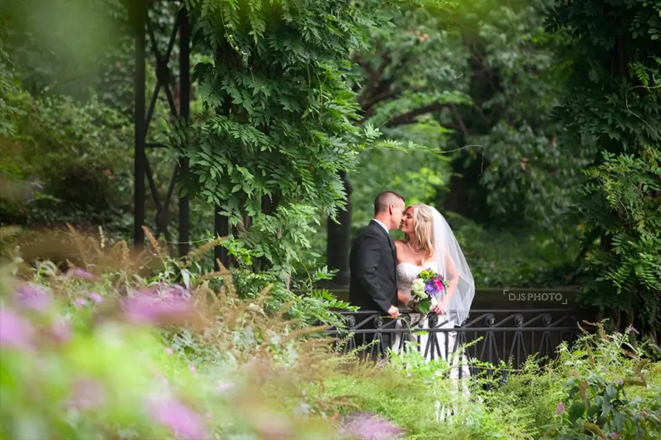 DJS Photo — photo 1