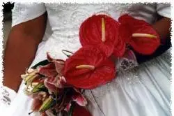 Sarl Fleurale — photo 5