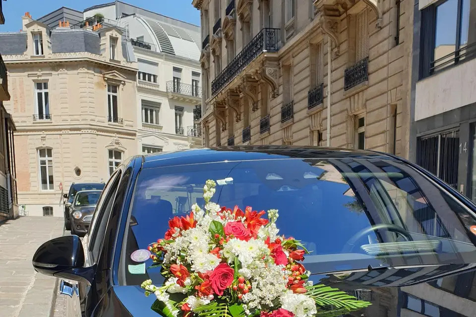 Transport Papillon Sarl — photo 1