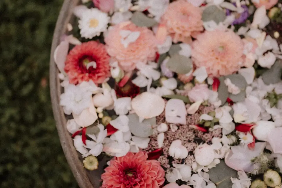 Sif Troyes — photo 3