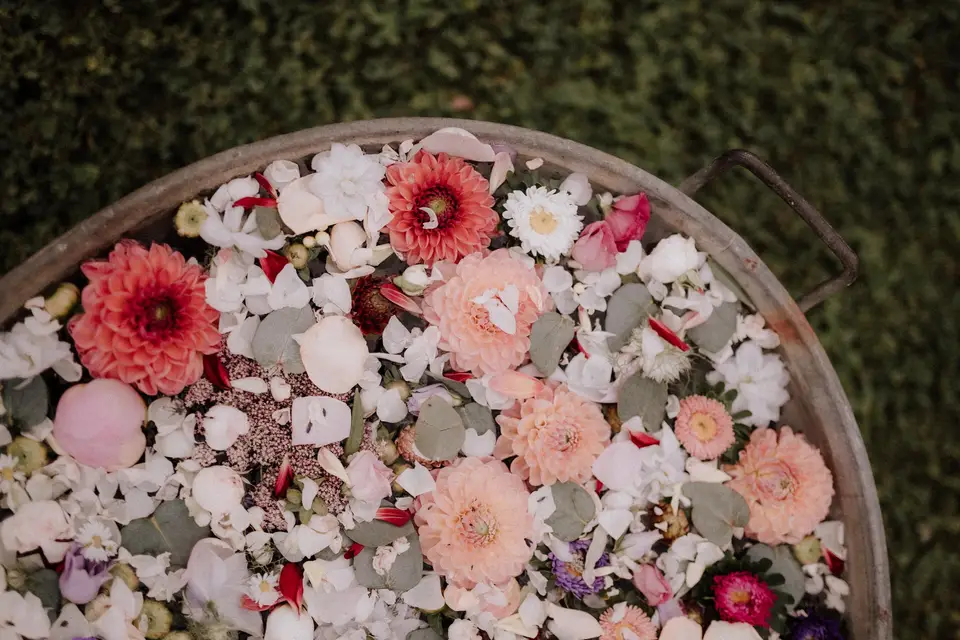 Sif Troyes — photo 7