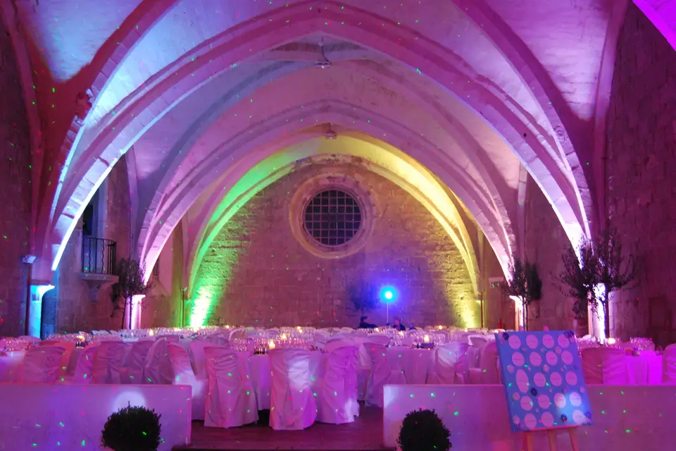 1somniak Animation - DJ et musiciens — photo 5