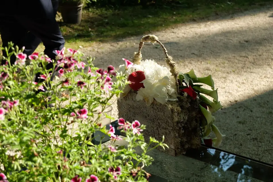 Nature des fleurs — photo 3