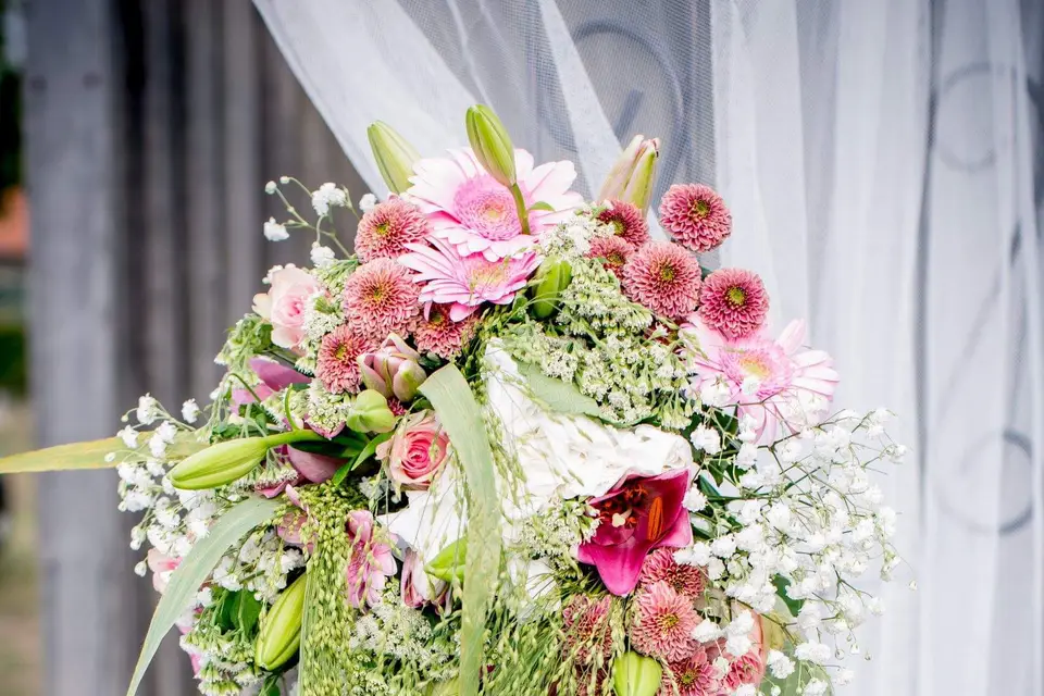 Sonia Trait'heure — photo 3