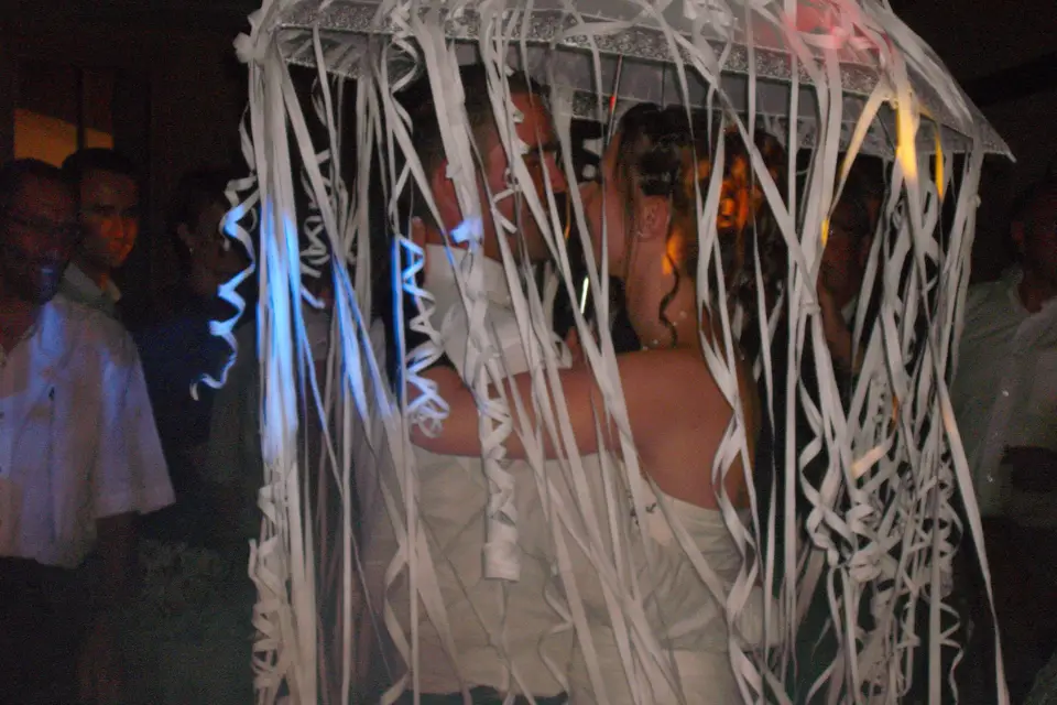 Asp-Animation — photo 1