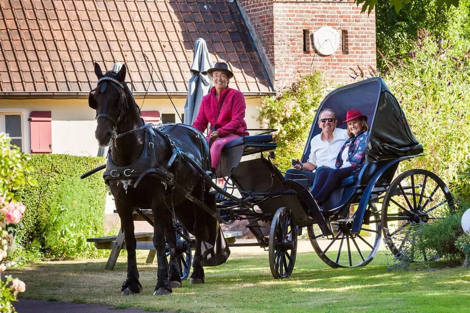 Calèche le Frison d'Alex — photo 7