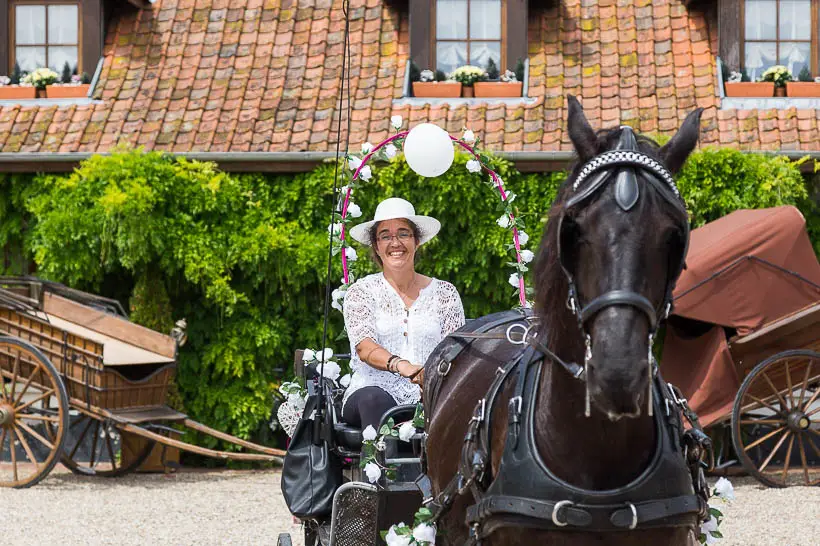 Calèche le Frison d'Alex — photo 5