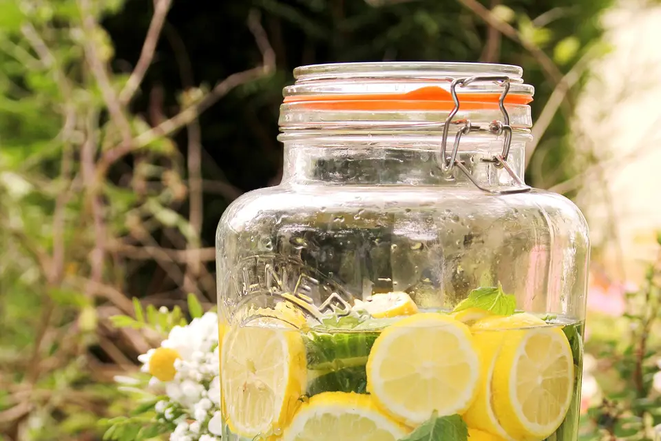 Oscar&Céleste — photo 4