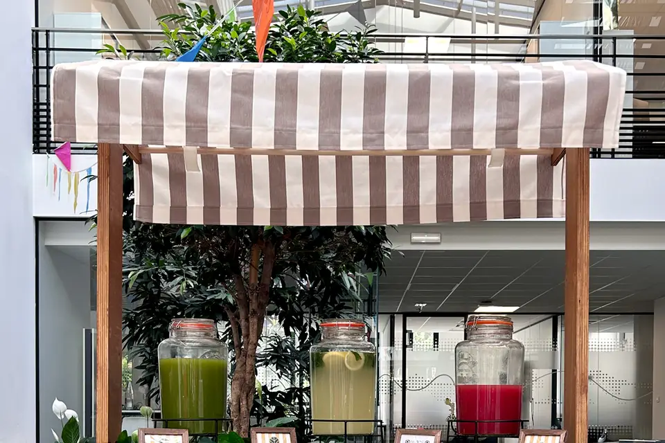 Oscar&Céleste — photo 2