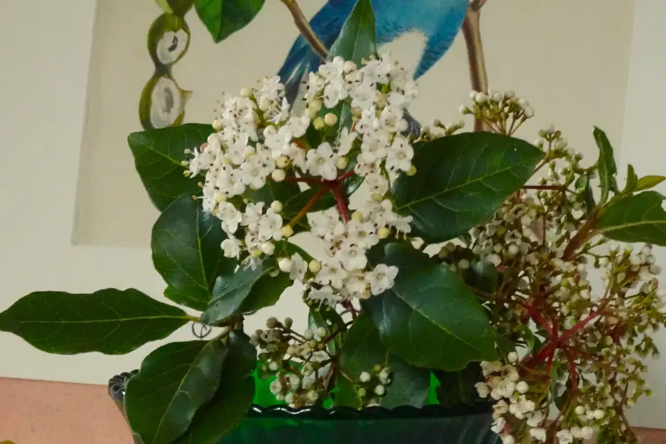 Mobilier Métamorphosé — photo 2