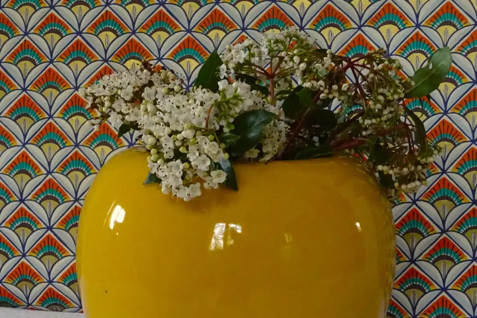 Mobilier Métamorphosé