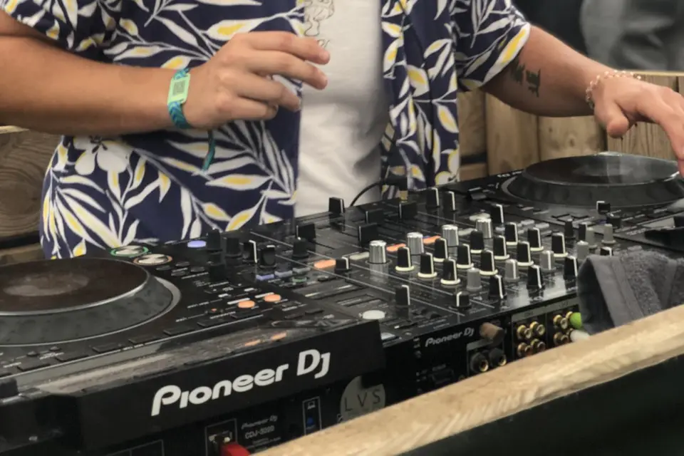 Vincluzoo — photo 7