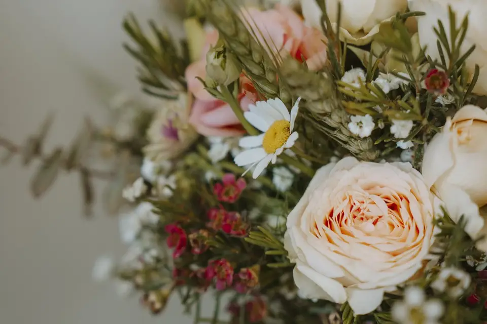 Inès Photographe Nomade — photo 5