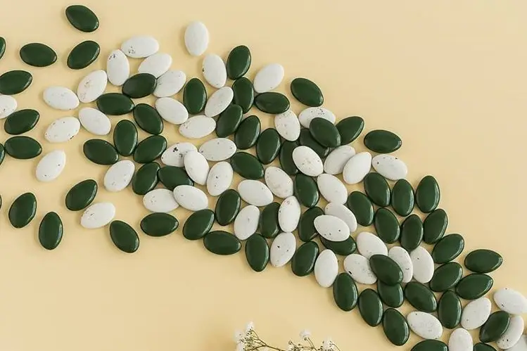 Leonidas Délice Chocolat — photo 1