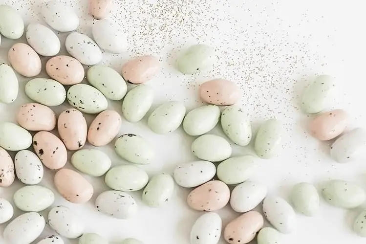 Leonidas Délice Chocolat — photo 4