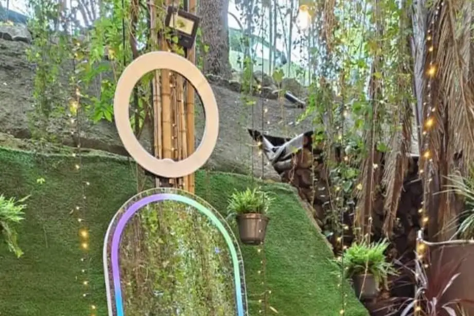 Cenowlive — photo 3