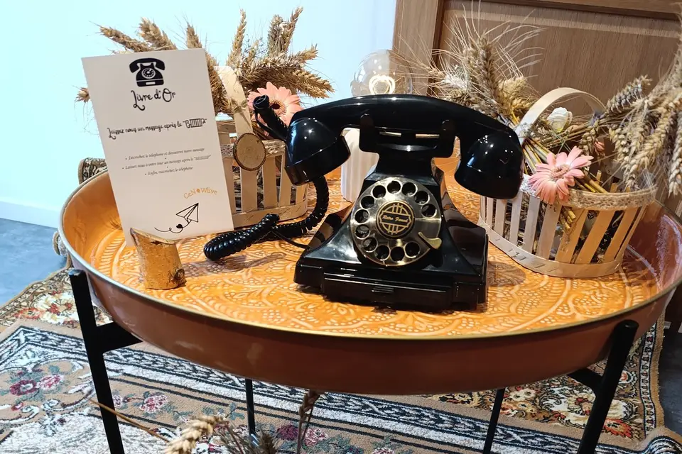 Cenowlive — photo 6