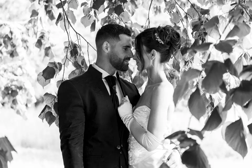 Signé LR — photo 1