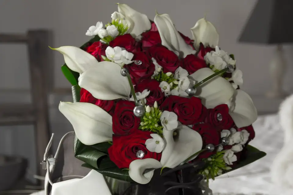 Mademoiselle d'honneur — photo 2