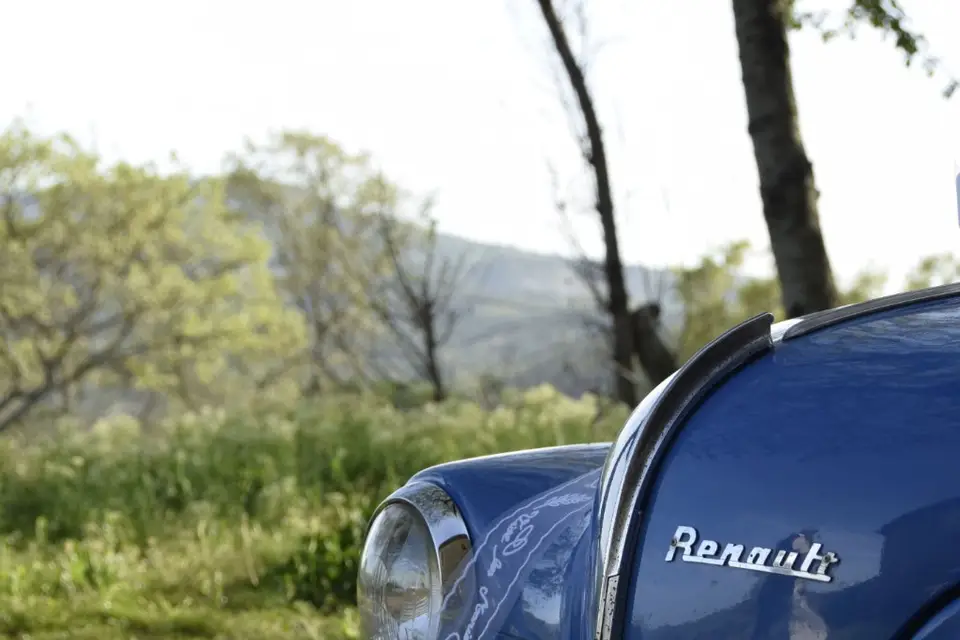 Laure M Photographie — photo 3