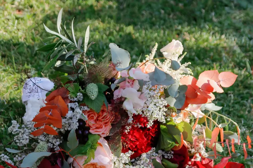 Christine Lorieux — photo 6