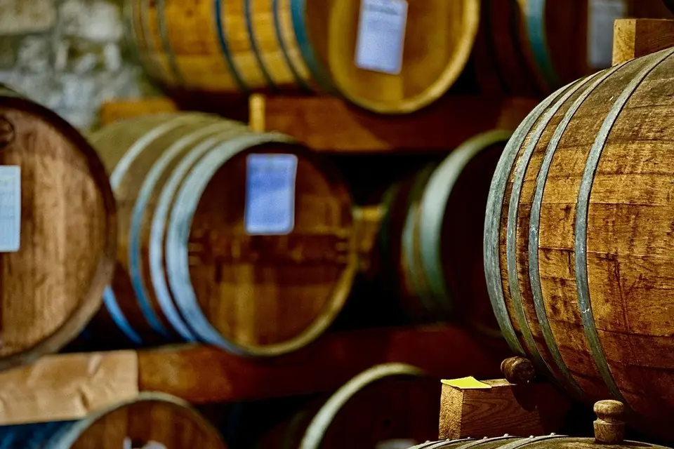 The Art Of Wine Academy — photo 3