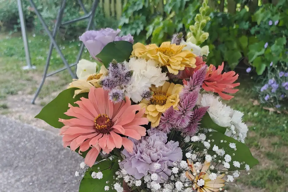 La Ferme d'Henryette — photo 5