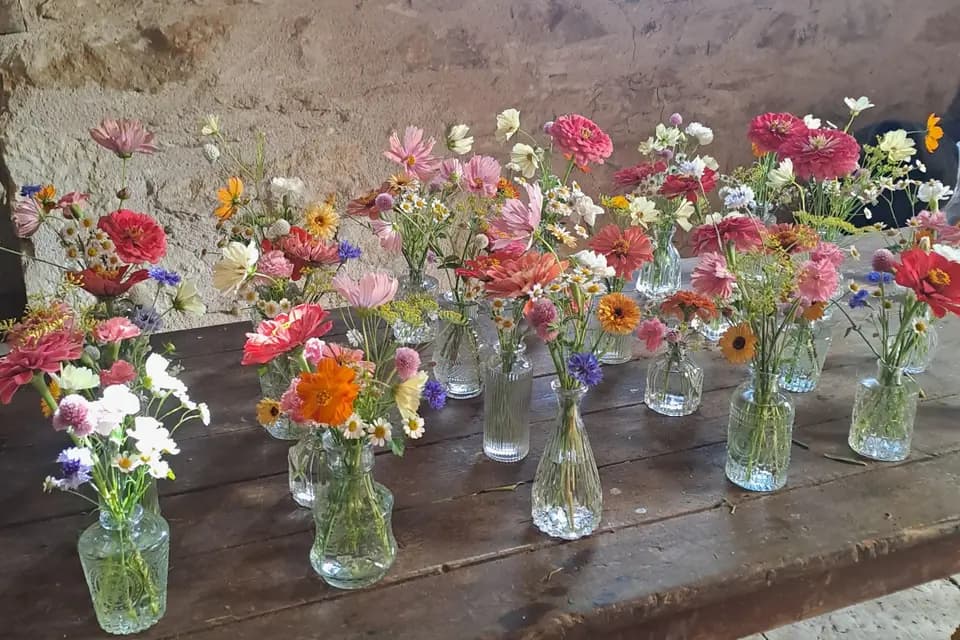 La Ferme d'Henryette — photo 6