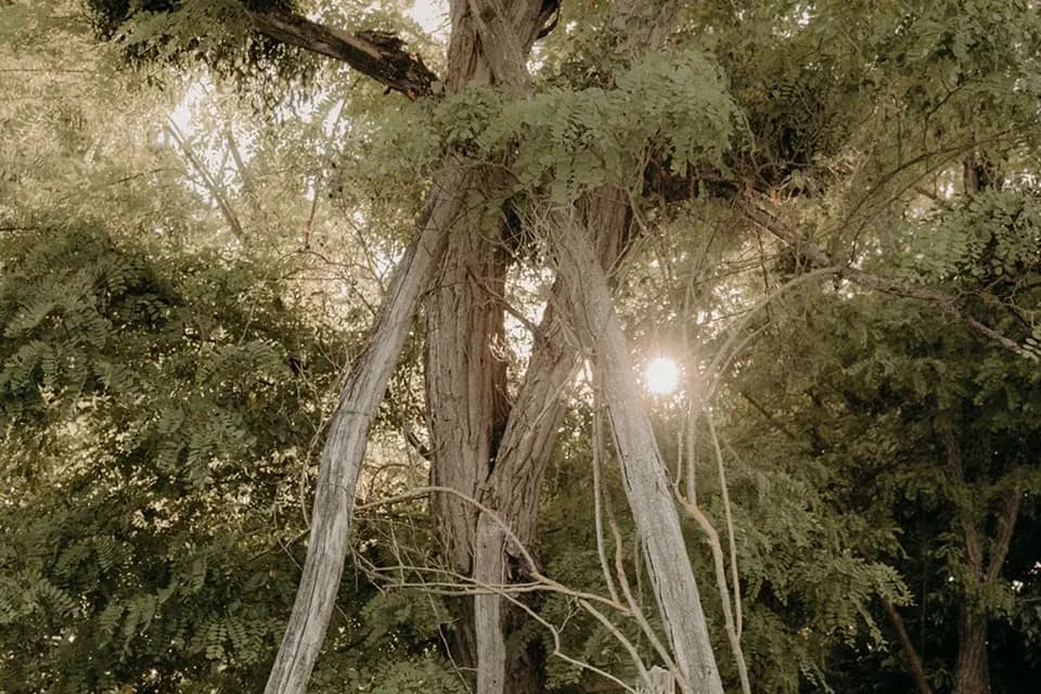 Eulalie Déco — photo 8