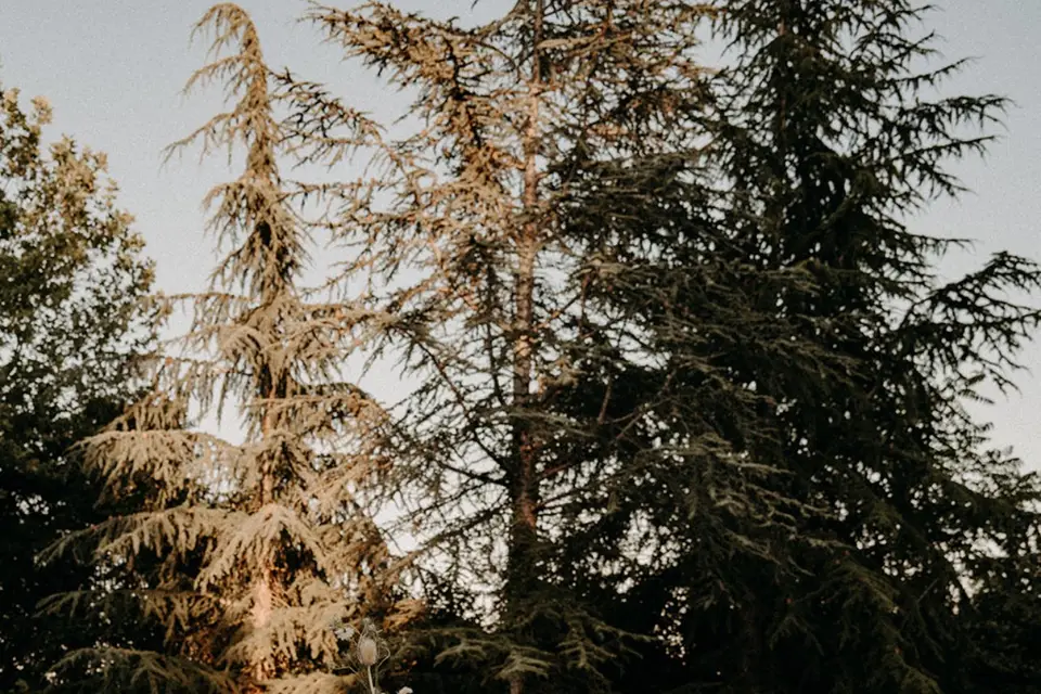 Eulalie Déco — photo 3