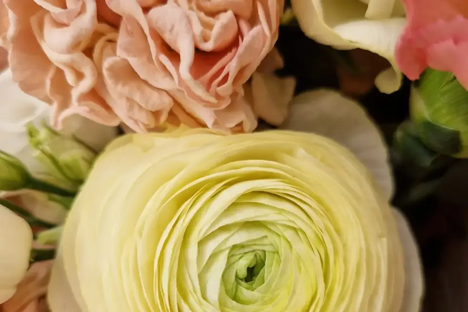 Meilleray Fleurs — photo 4