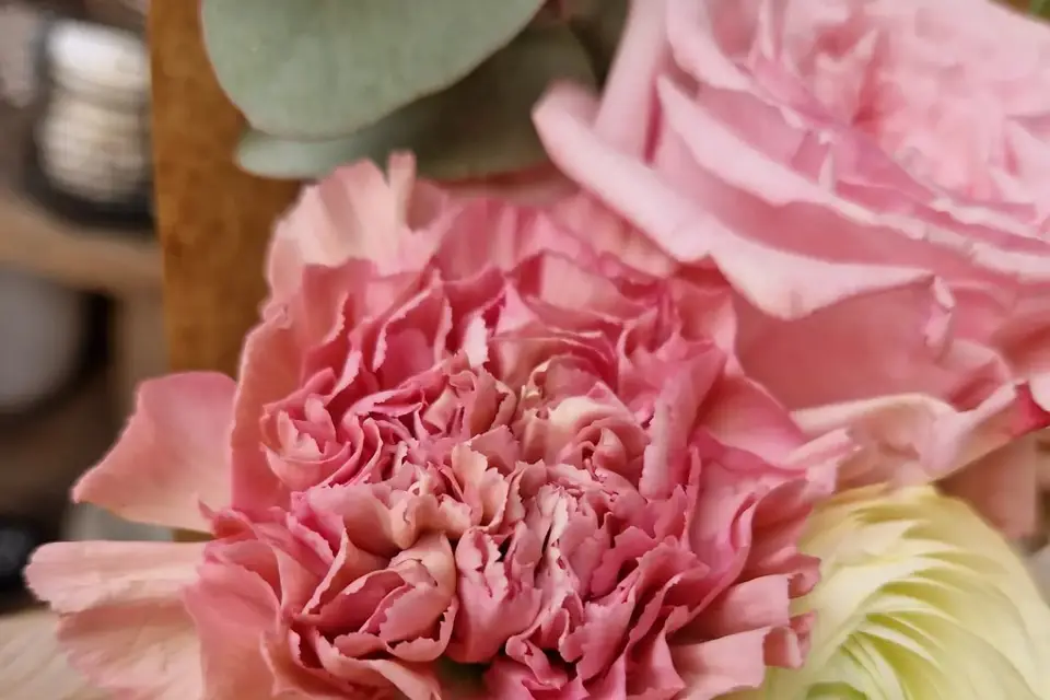 Meilleray Fleurs — photo 3