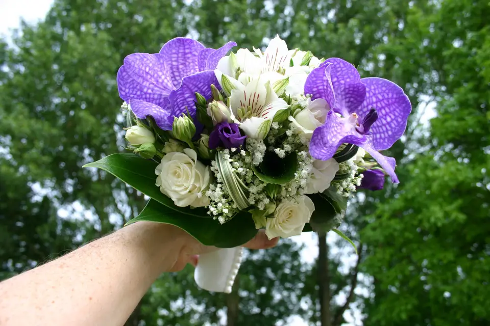 Creazoom Evènement — photo 6