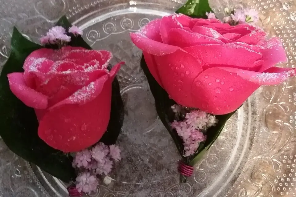 CMJ Créa — photo 7