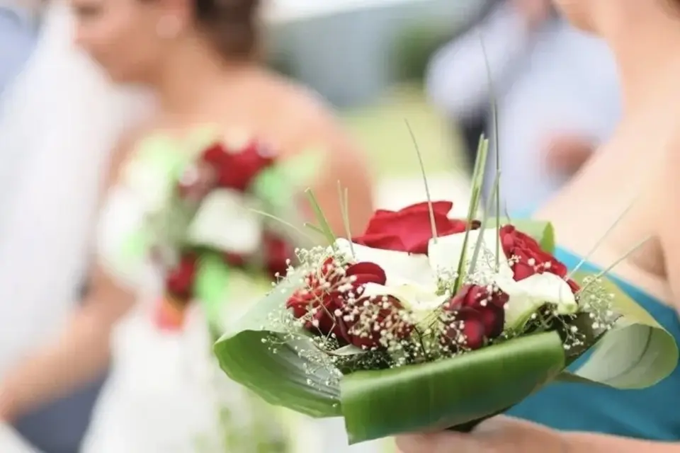 CMJ Créa — photo 3