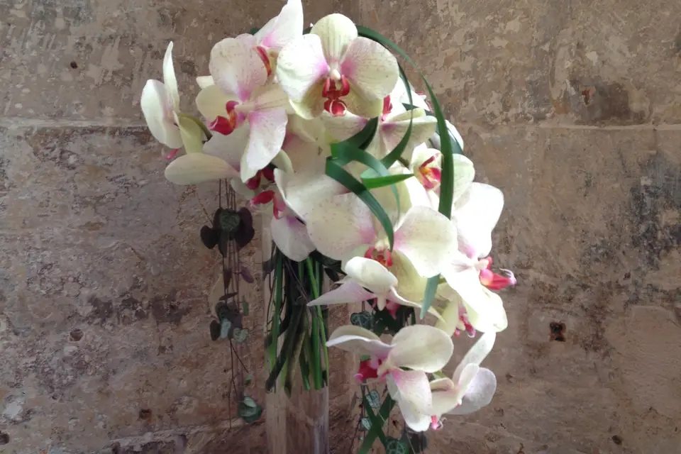 Une Fleur, Un Bonheur — photo 8