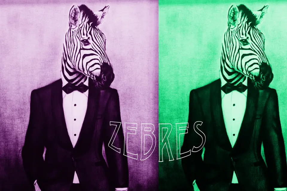 Canzonieri — photo 6