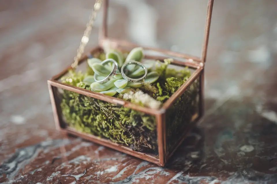 Flo Events — photo 3